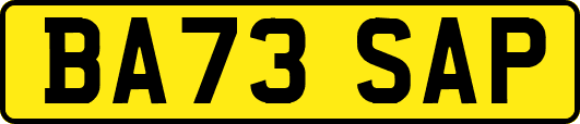 BA73SAP