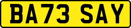 BA73SAY
