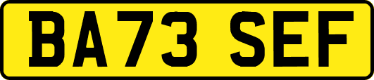 BA73SEF