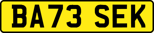 BA73SEK