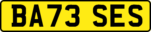 BA73SES