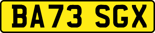 BA73SGX