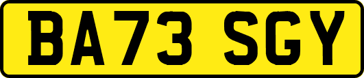 BA73SGY