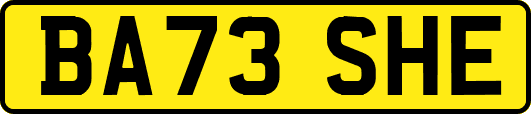 BA73SHE