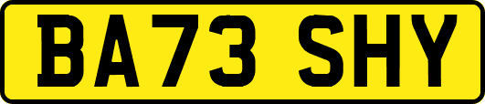 BA73SHY