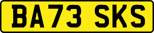 BA73SKS