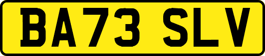 BA73SLV