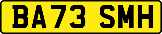 BA73SMH