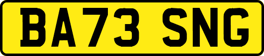 BA73SNG