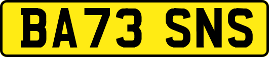 BA73SNS