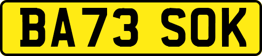 BA73SOK