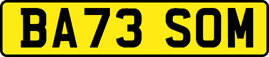 BA73SOM
