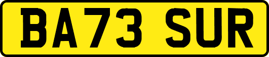 BA73SUR