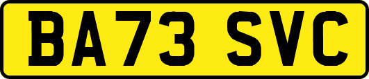 BA73SVC