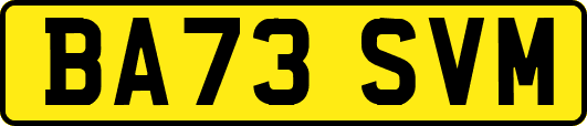 BA73SVM