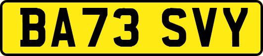 BA73SVY