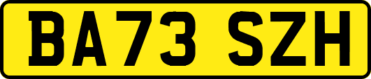 BA73SZH
