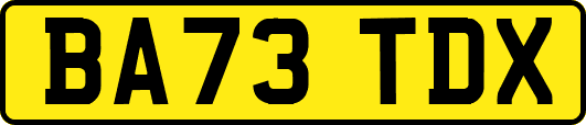 BA73TDX