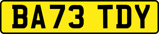 BA73TDY