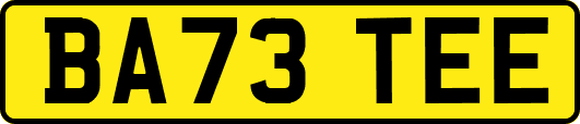 BA73TEE