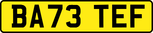 BA73TEF