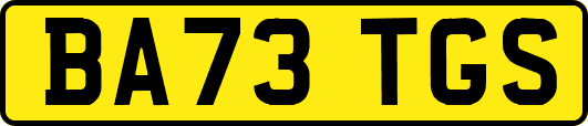 BA73TGS