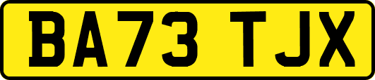 BA73TJX
