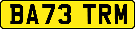 BA73TRM