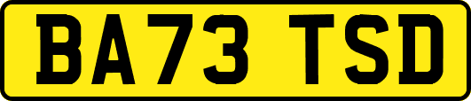 BA73TSD