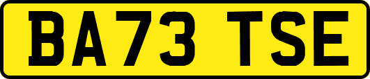 BA73TSE