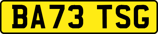 BA73TSG