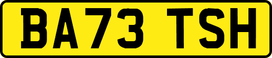BA73TSH