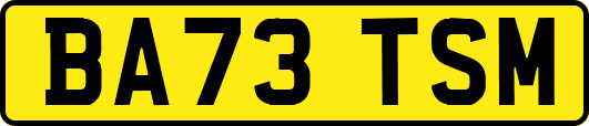 BA73TSM
