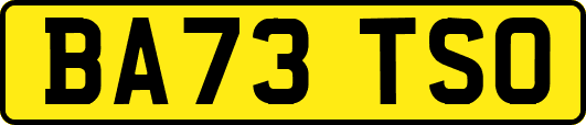 BA73TSO