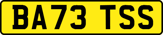 BA73TSS