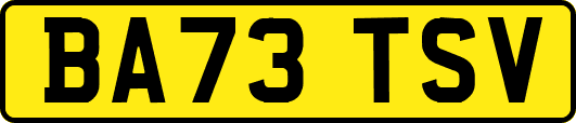 BA73TSV