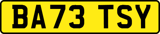 BA73TSY
