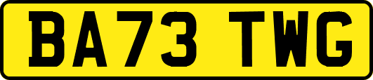 BA73TWG