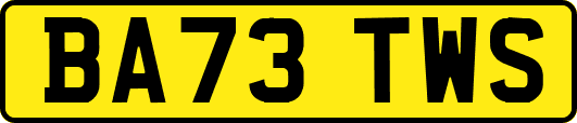BA73TWS