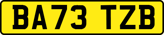 BA73TZB