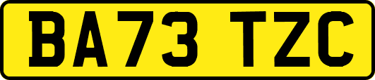 BA73TZC