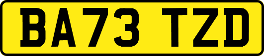 BA73TZD