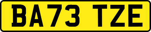 BA73TZE