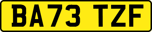 BA73TZF