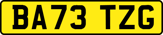 BA73TZG