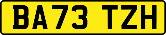 BA73TZH