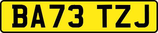 BA73TZJ