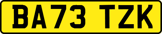 BA73TZK