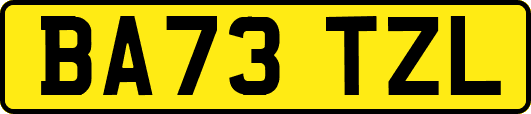 BA73TZL