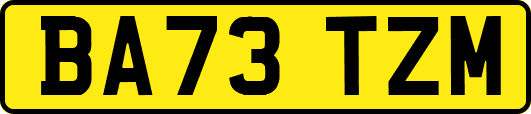 BA73TZM